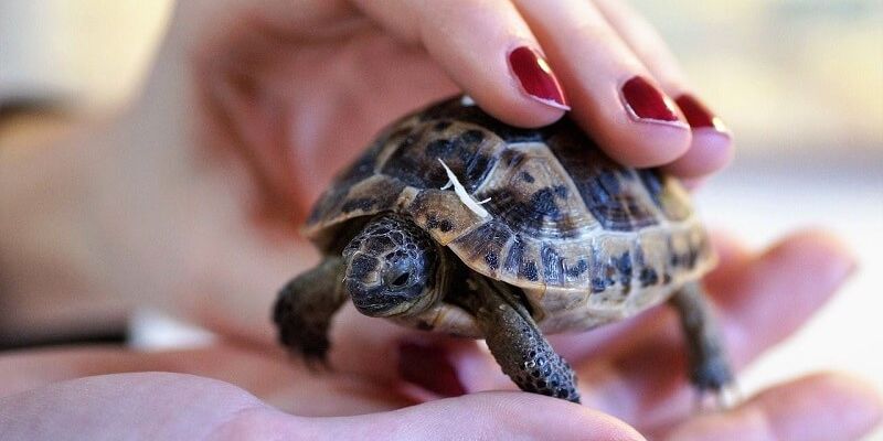 Cứ nỗ lực là sẽ đạt được những thành quả